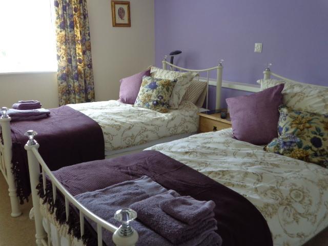Lodge House B&B Buckland St Mary Bilik gambar