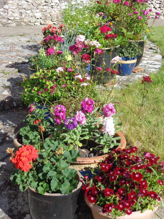Lodge House B&B Buckland St Mary Luaran gambar